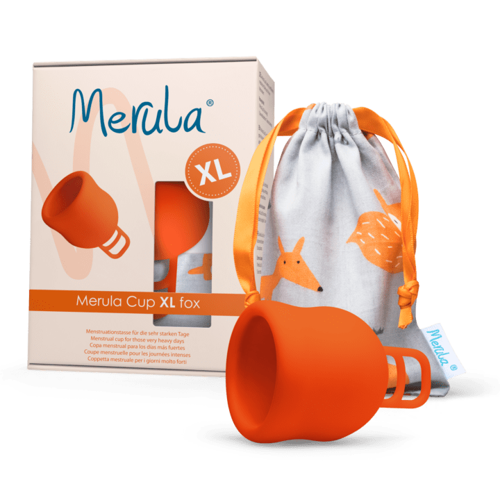 Merula Cup XL fox 4